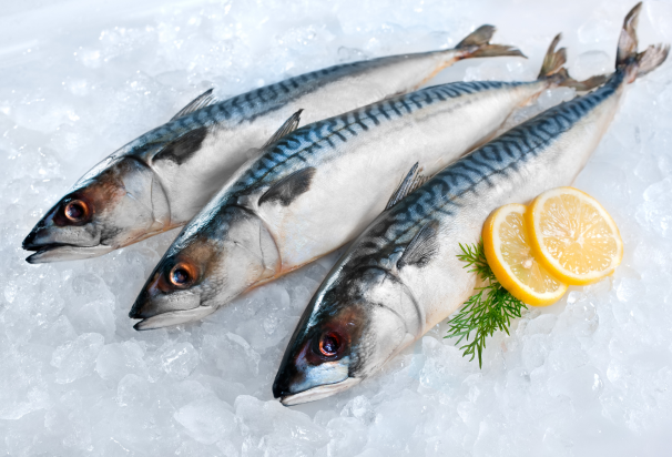 fish exports